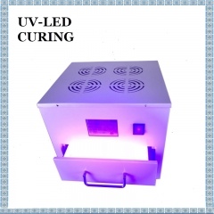 MINI UV-härdningsbox