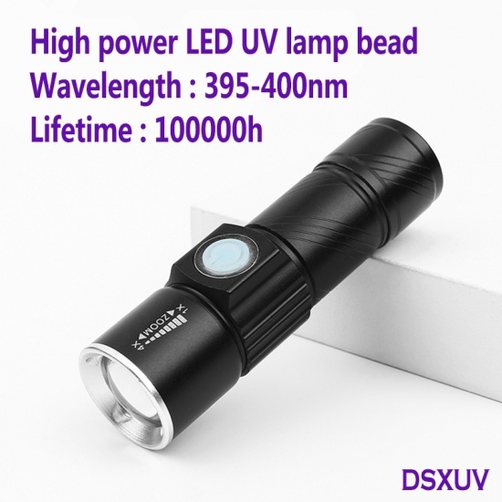 Bärbar 5W 395 nm UV-lampans härdningslampa USB Laddningsdetekteringsljus