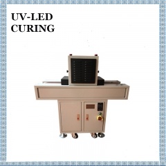 100X100mm Desktop UV-transportör